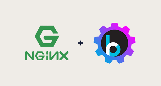 Find out more about nginx rest api , nginx and bloomreach